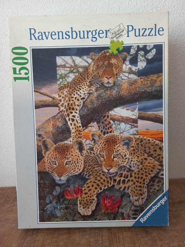 Ravensburger - Family Ties