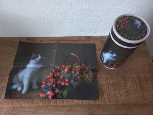 Essentials Center -  Bouquet with Cat