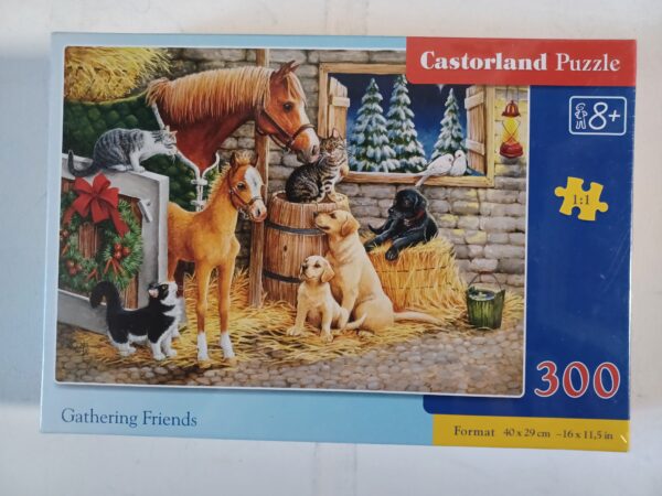 Castorland - Gathering Friends - NIEUW