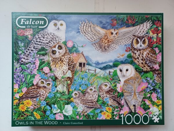 Falcon - Owls in the Wood