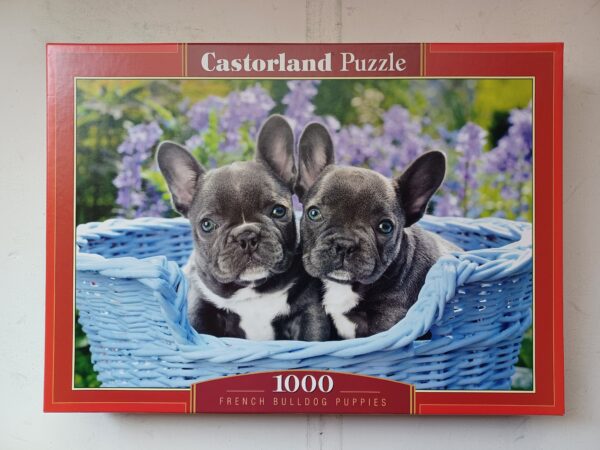 Castorland - French Bulldog Puppies - NIEUW